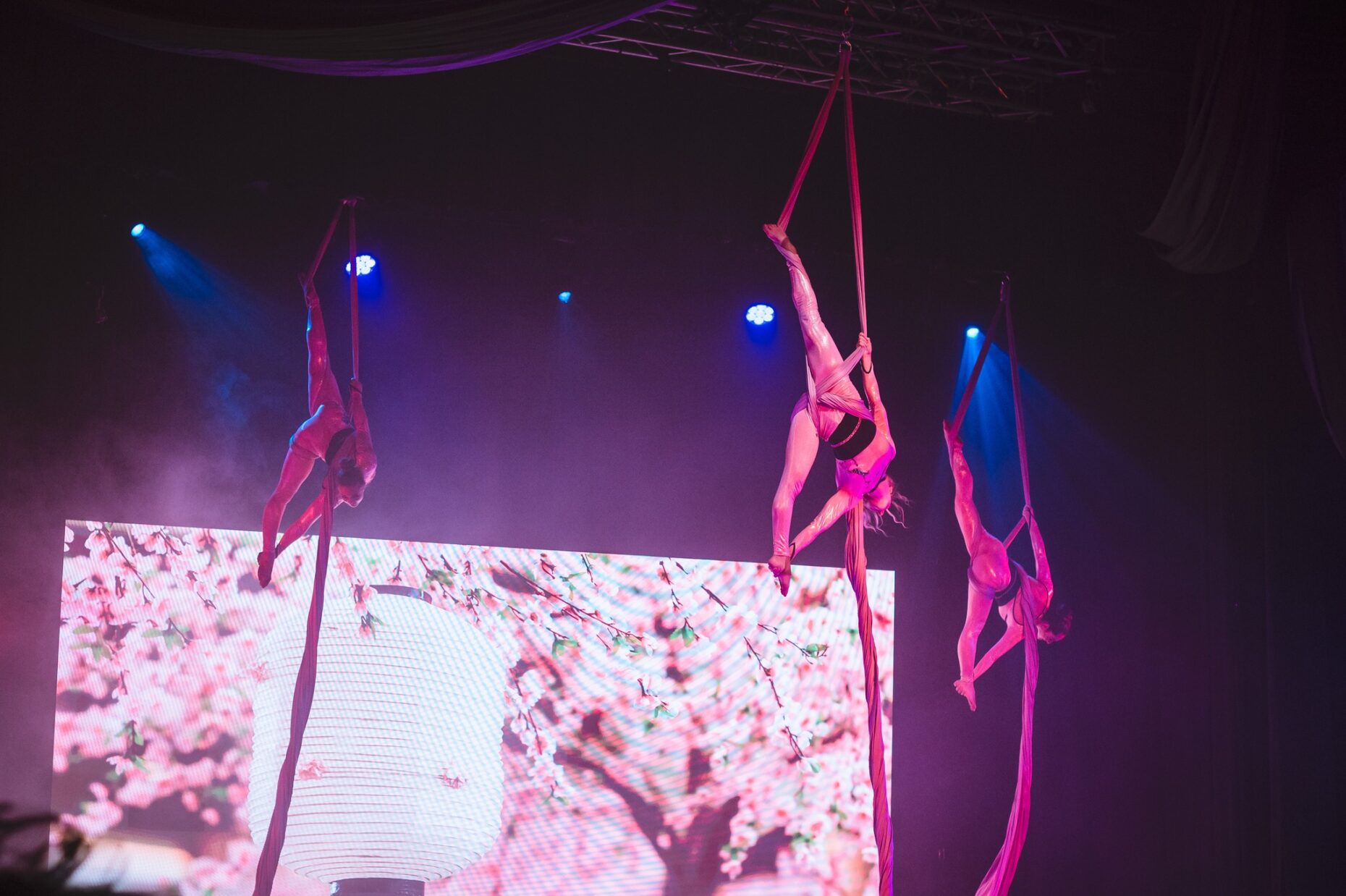 448603534_989091443223479_6837965736516663209_n